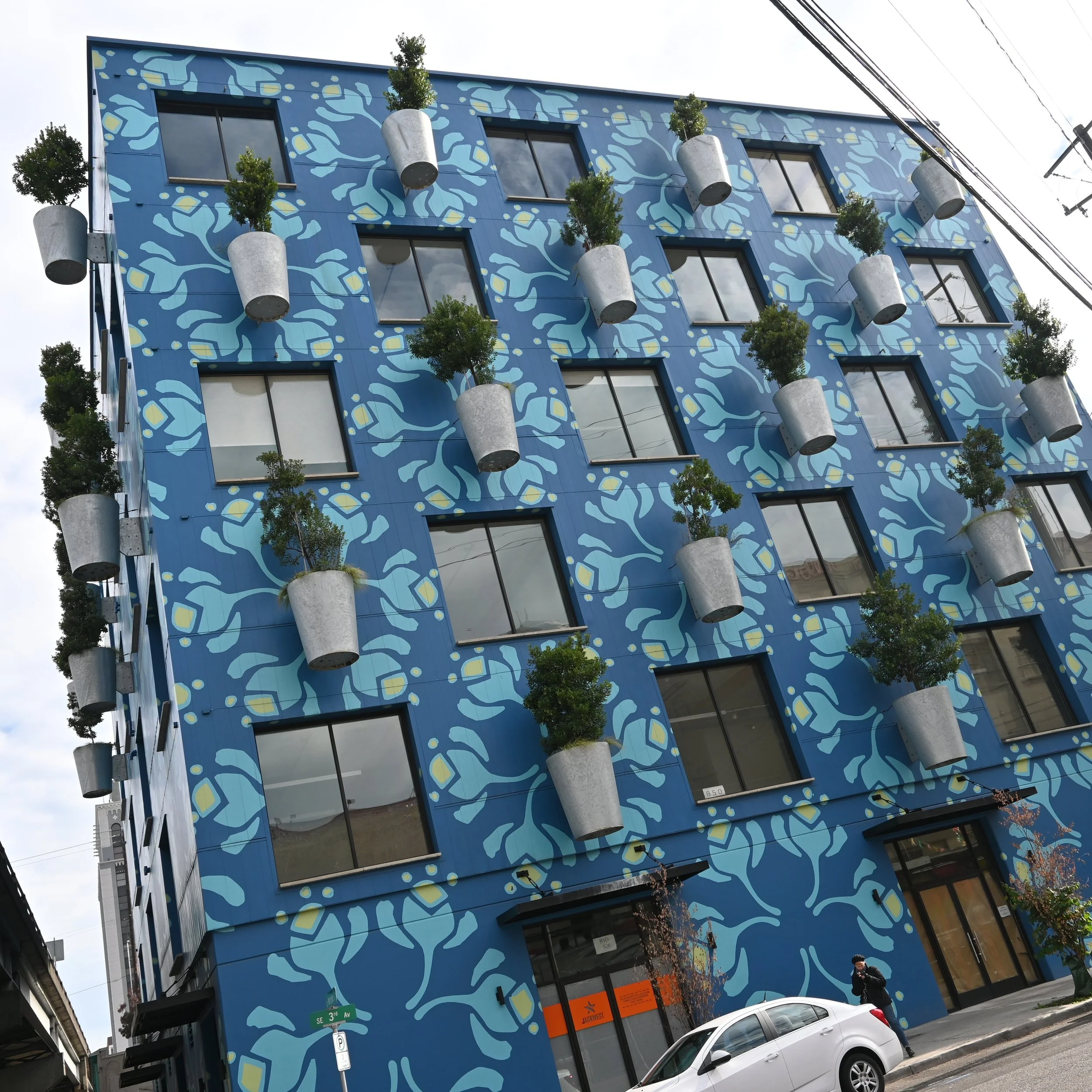 Exterior building with unique color and plants